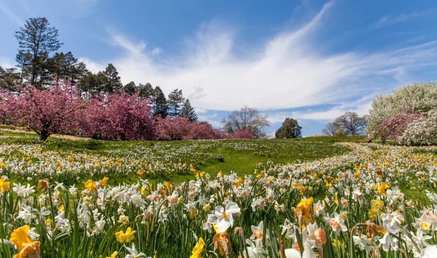 Time N Track Spring 2026 Roundup: Everything New from April to May